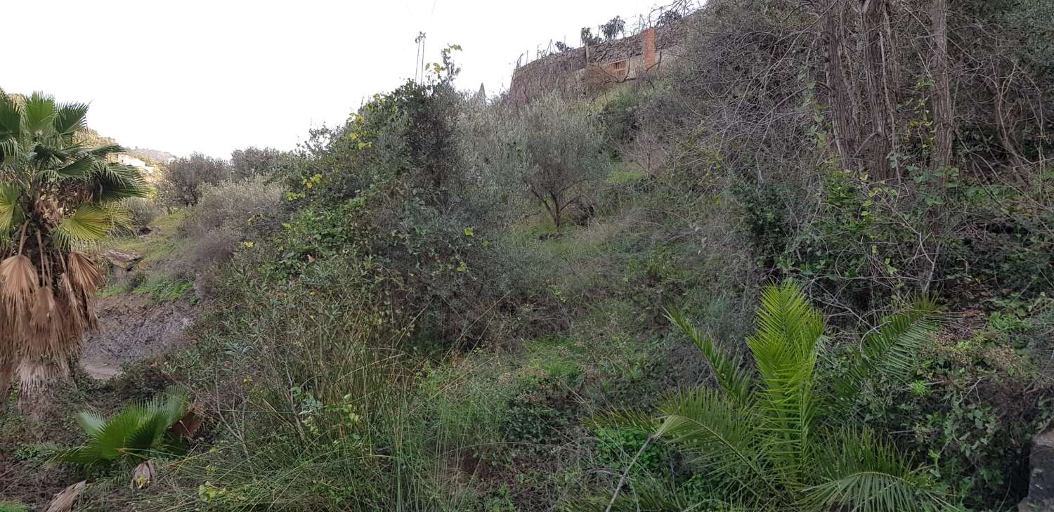 PLOT OF 1500 METERS 1.5 KM FROM TORROX