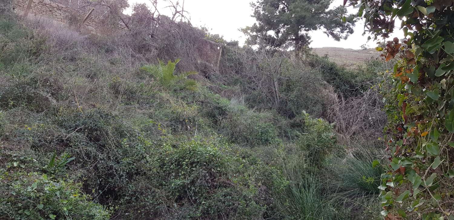 PLOT OF 1500 METERS 1.5 KM FROM TORROX