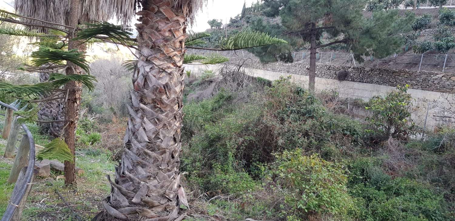 PLOT OF 1500 METERS 1.5 KM FROM TORROX