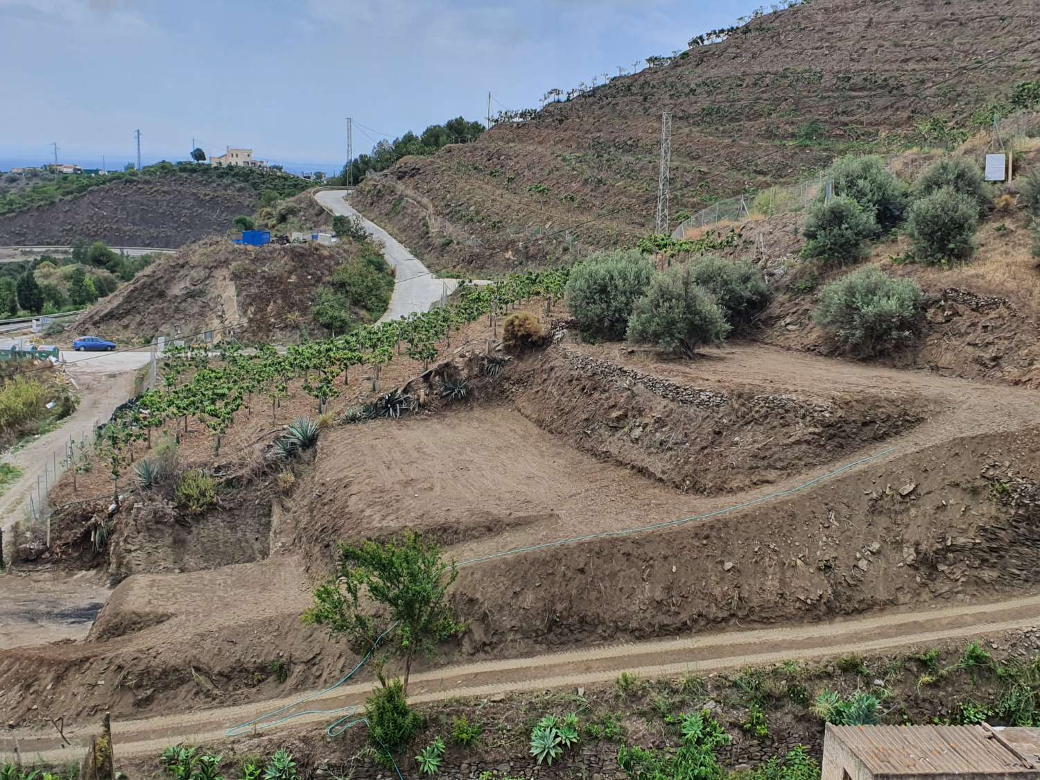 PLOT FOR SALE 700 METERS IN TORROX