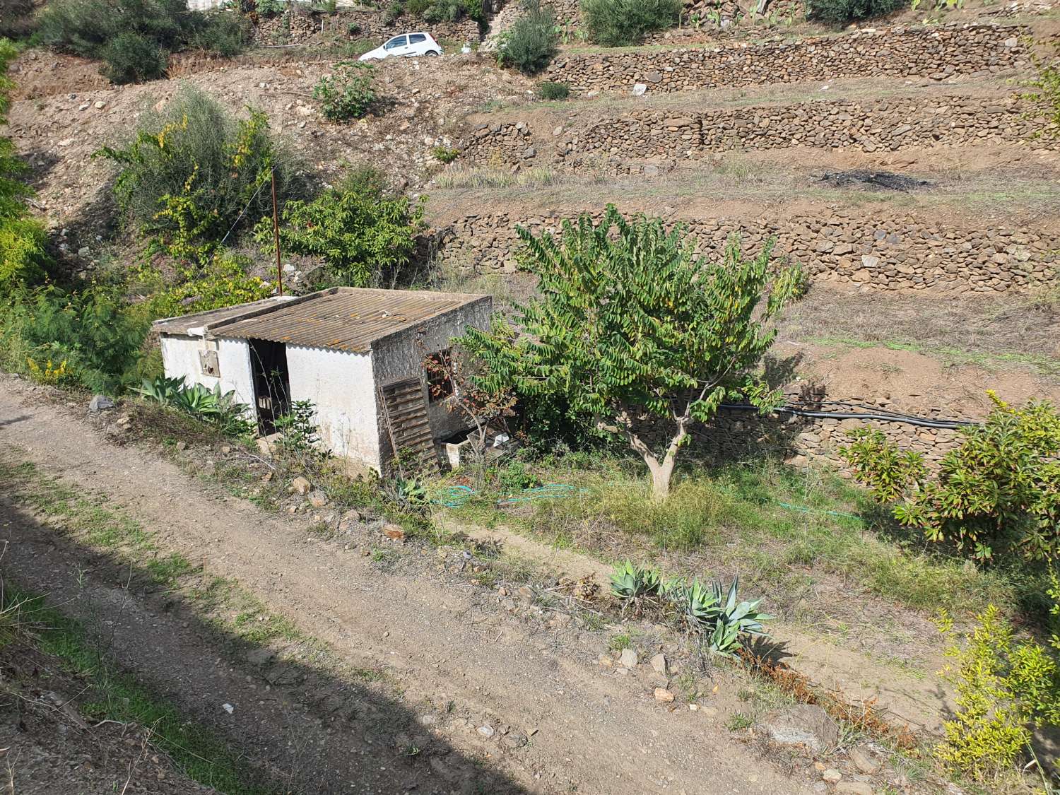 RUSTIC PLOT ORGANIC SOWING