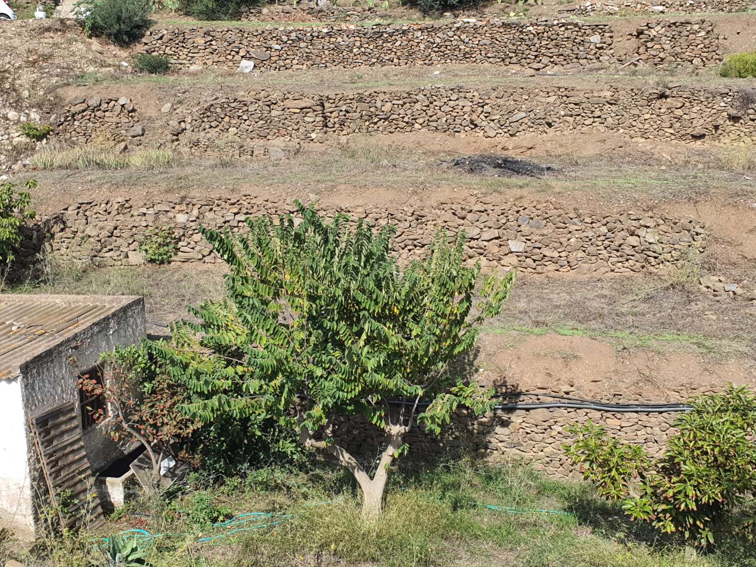 RUSTIC PLOT ORGANIC SOWING