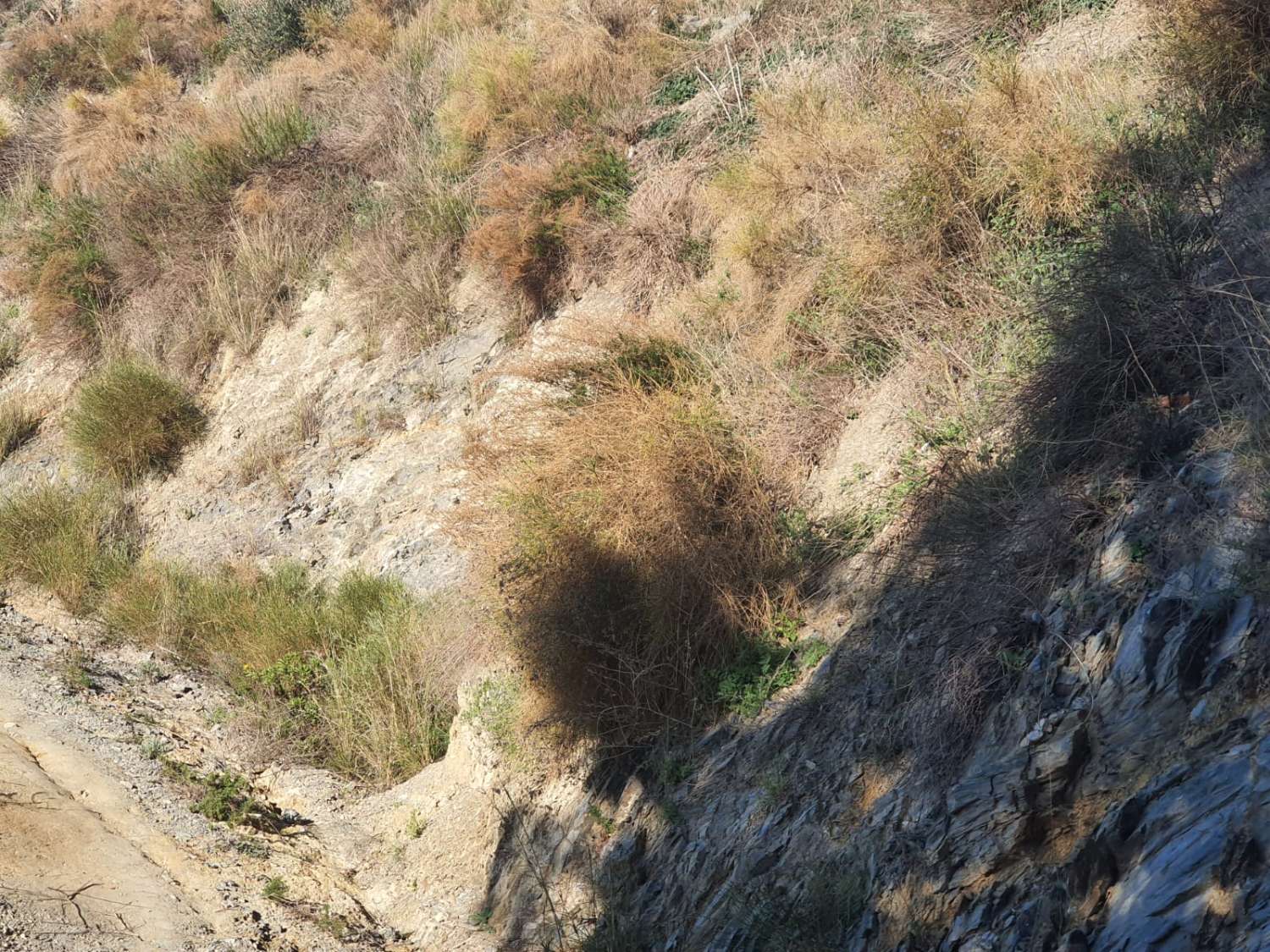 Fastigheter till salu i Nerja